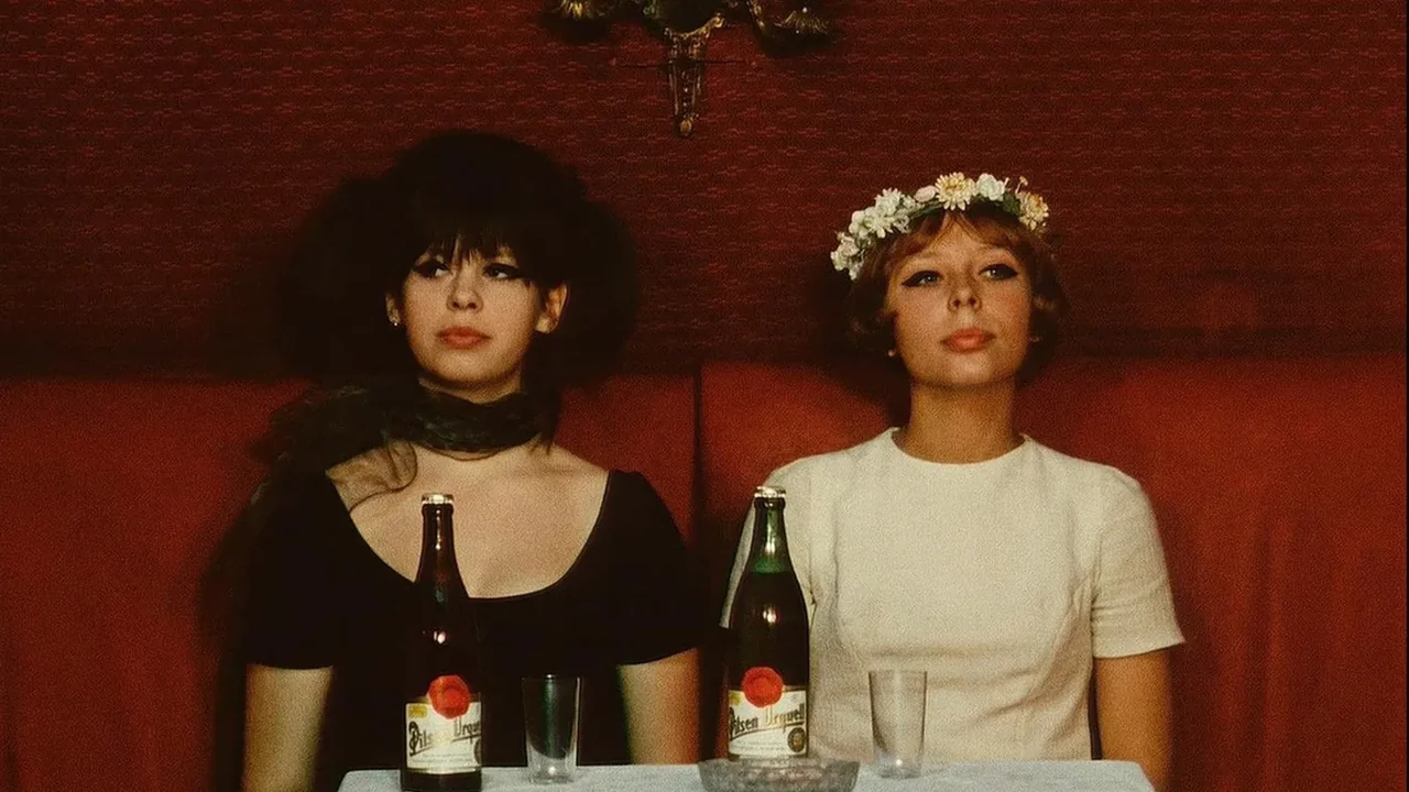 Фильм Маргаритки (1966)