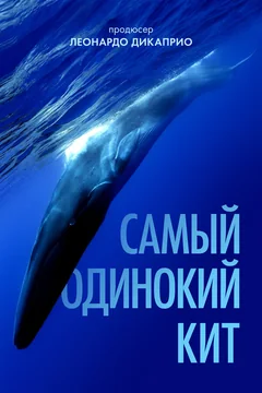 Фильм Самый одинокий кит (2021)